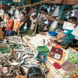 What to look out for when buying fish