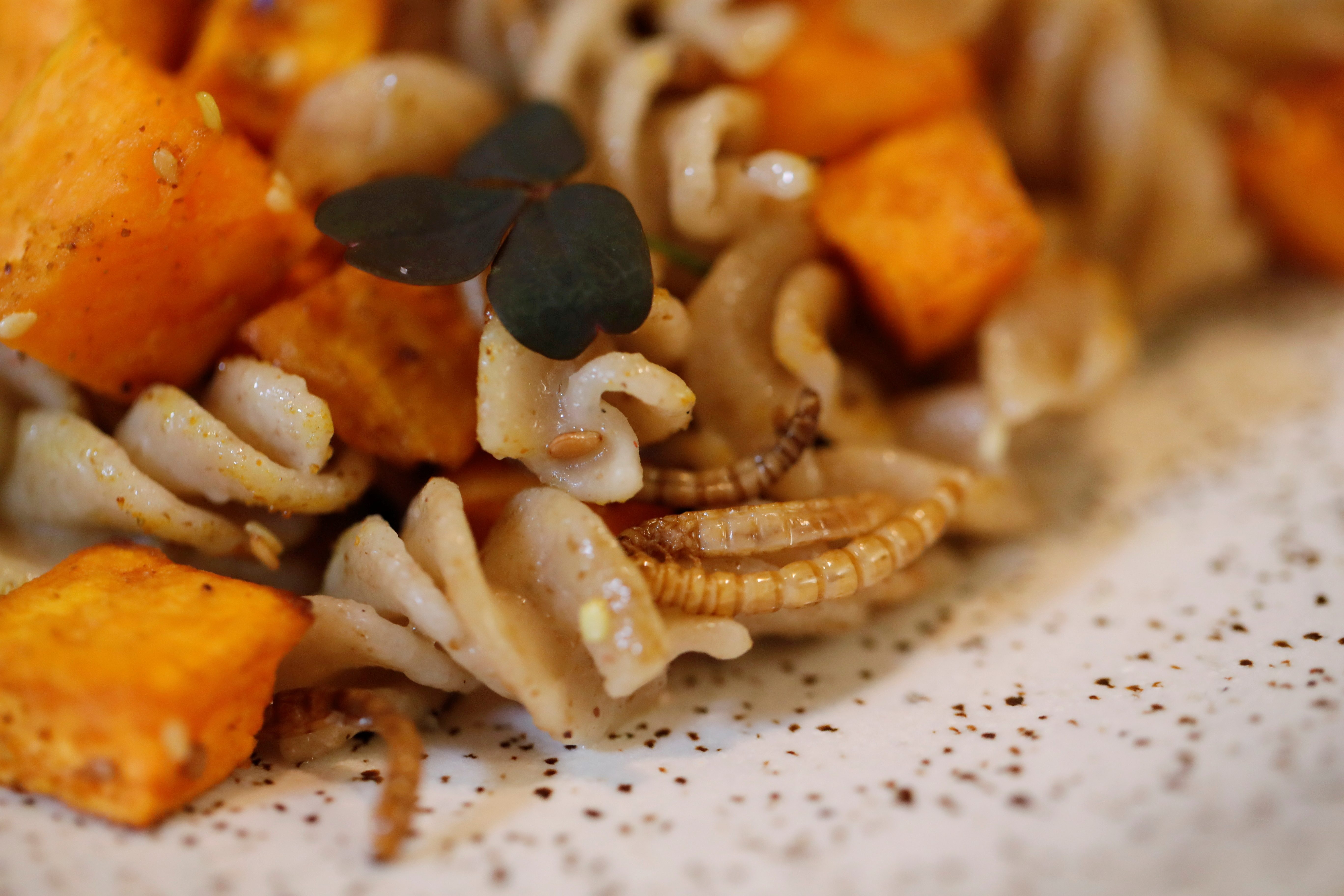 French restaurant serves up insects, the food of the future