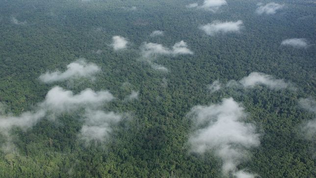 US ends Cambodia aid program over deforestation, targeting of activists