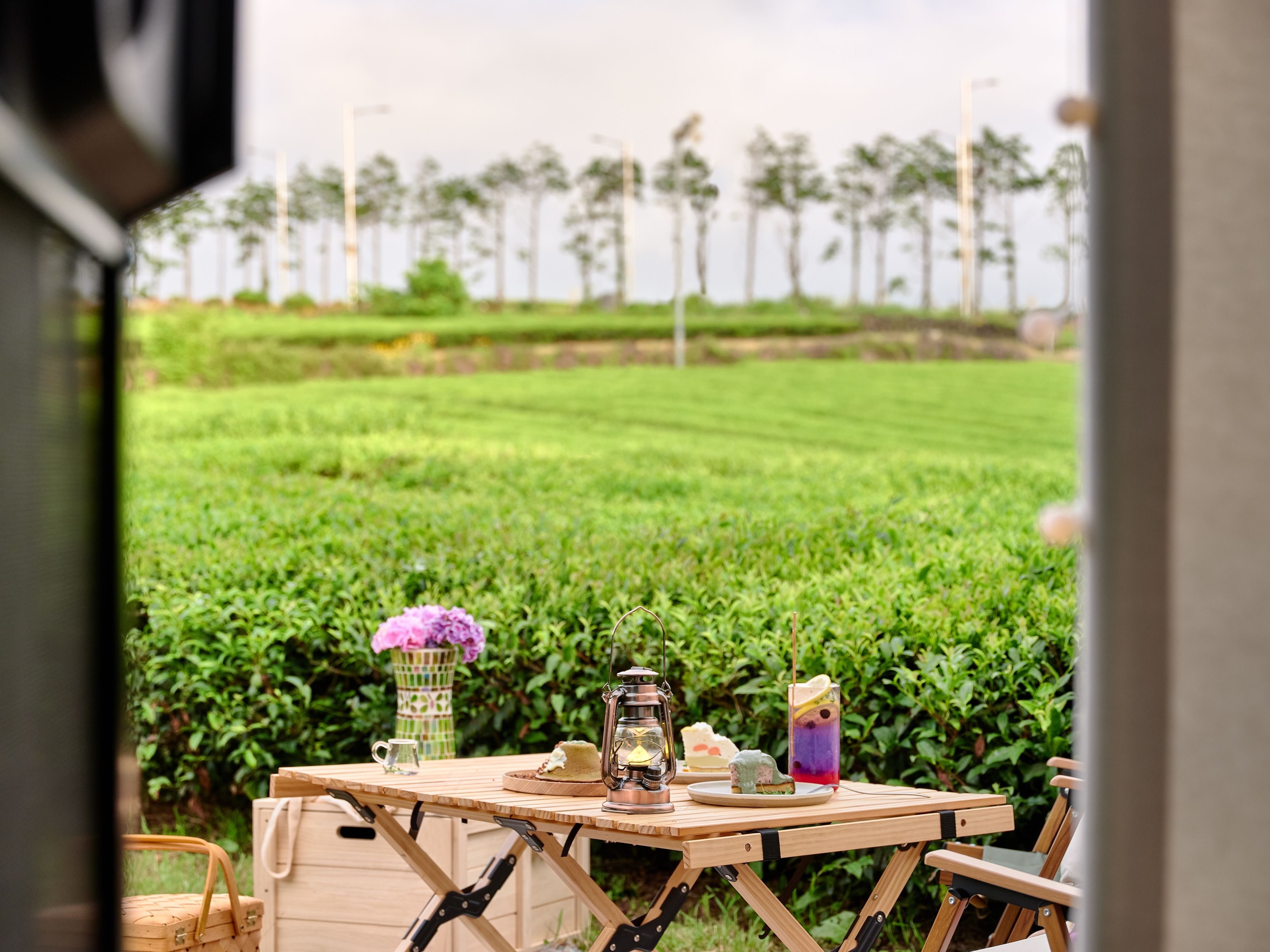 Innisfree opens Jeju Island green tea farms on Airbnb