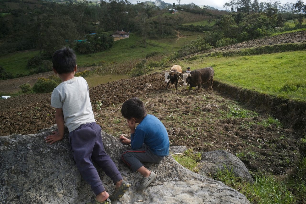 Child labor rises globally for the first time in decades