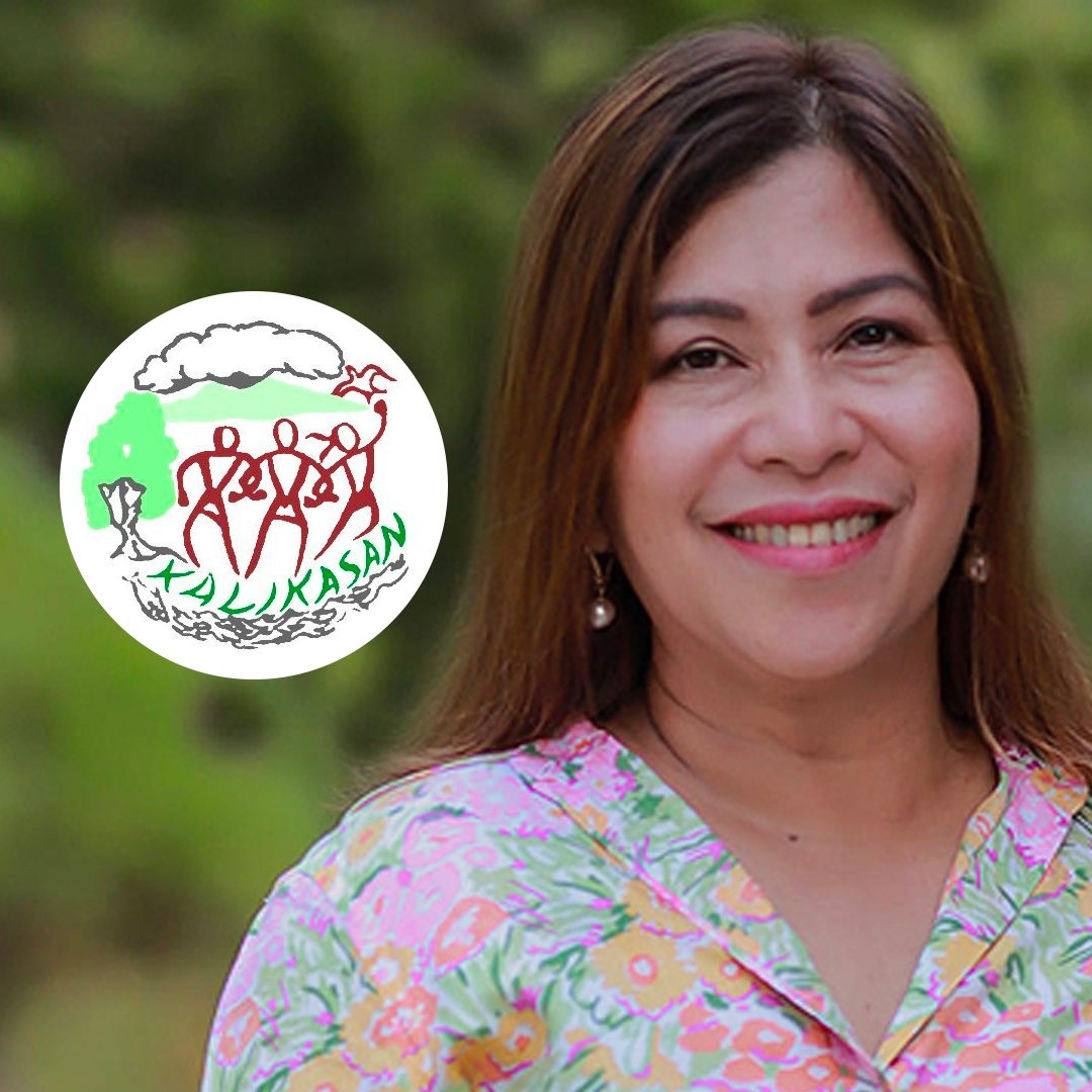 Environment group slams Ombudsman decision vs Palawan mayor