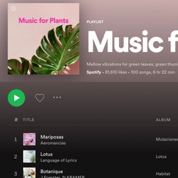 Green thumbs press play: Streams rise for Spotify’s ‘Music for Plants’ playlist