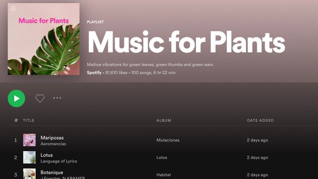 Green thumbs press play: Streams rise for Spotify’s ‘Music for Plants’ playlist