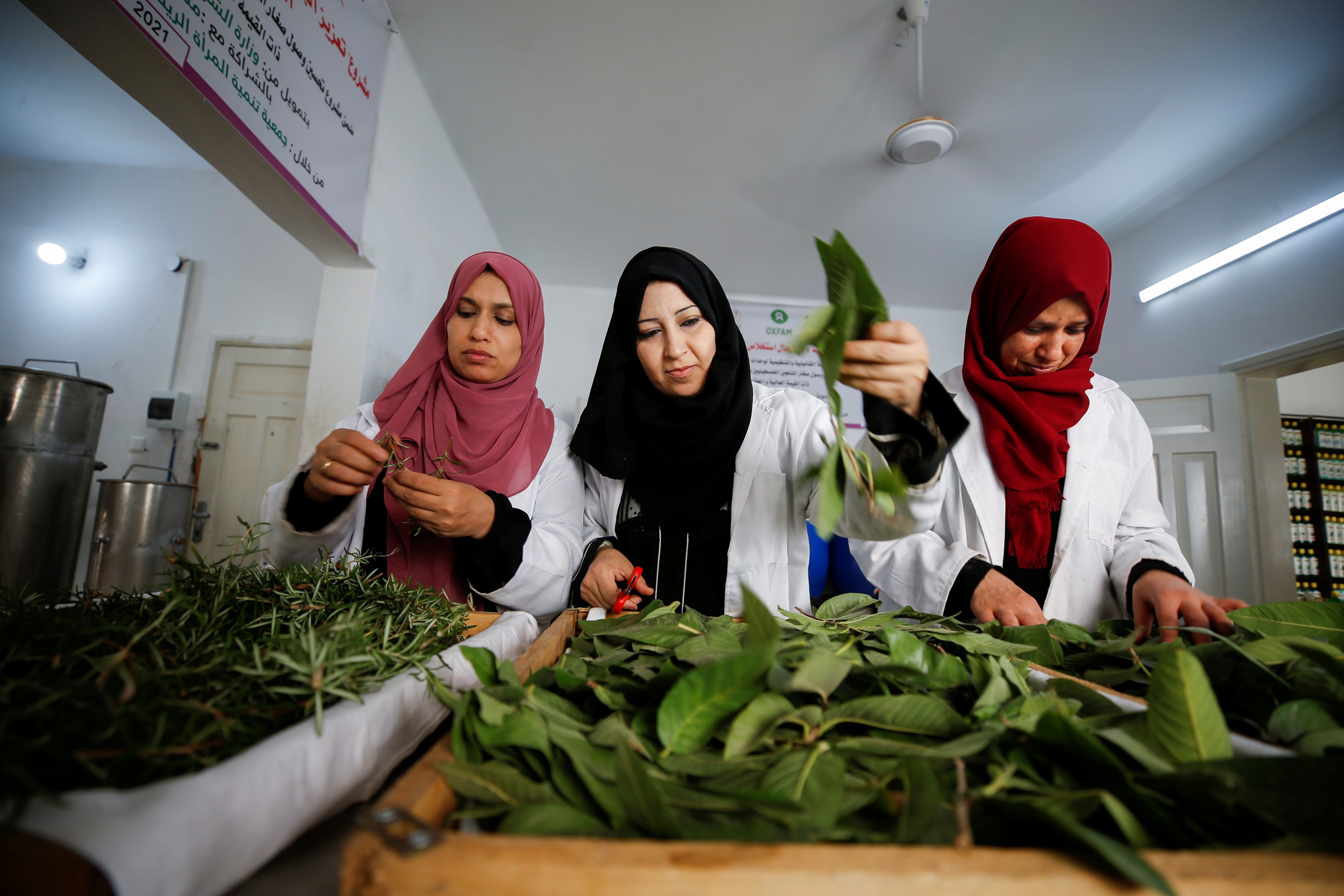 From farm to face, Gaza women create cosmetics from local herbs