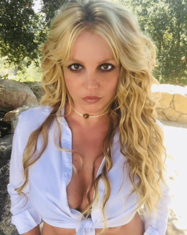 Britney Spears’ attorney proposes that her conservatorship end this fall