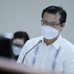 Gatchalian: ‘Shell should’ve been more prudent in choosing the right Malampaya operator’