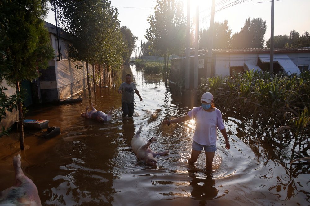 Chinese farmers see livelihoods washed away by floods