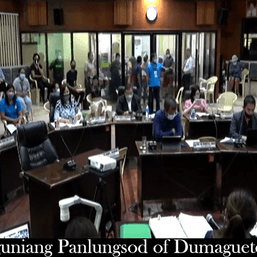 Despite opposition, Dumaguete councilors grant authority requests for reclamation