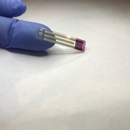 Australian scientists develop pain-free blood sugar test for diabetics
