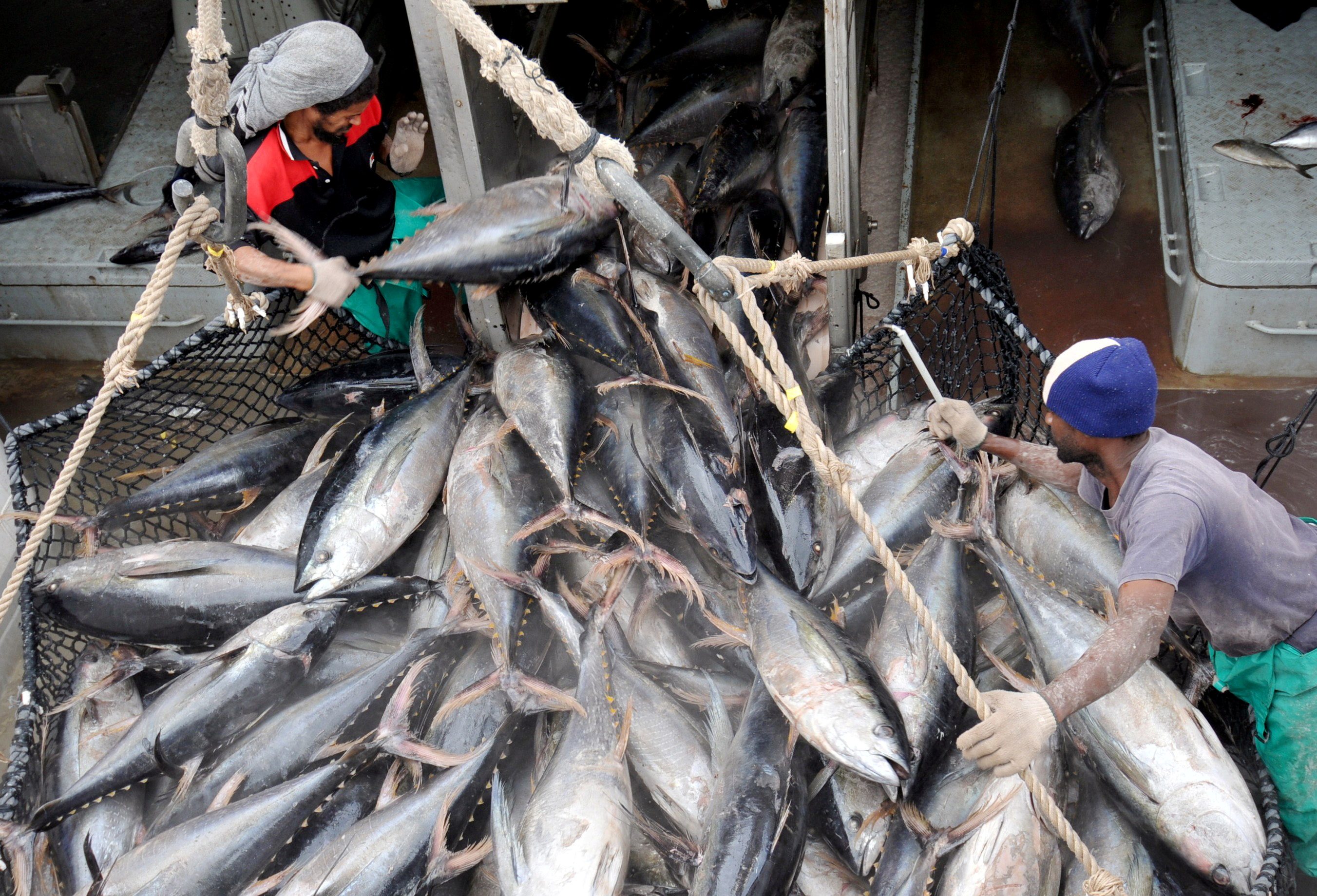 EXPLAINER: What’s at stake in WTO talks on fishing rules?