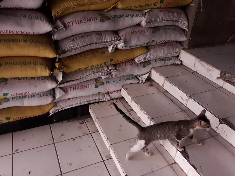 Pandemic rice aid rotting in General Santos City gym