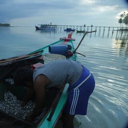 Depleting fish stocks on Malaysian coast force small-time fishers further into sea