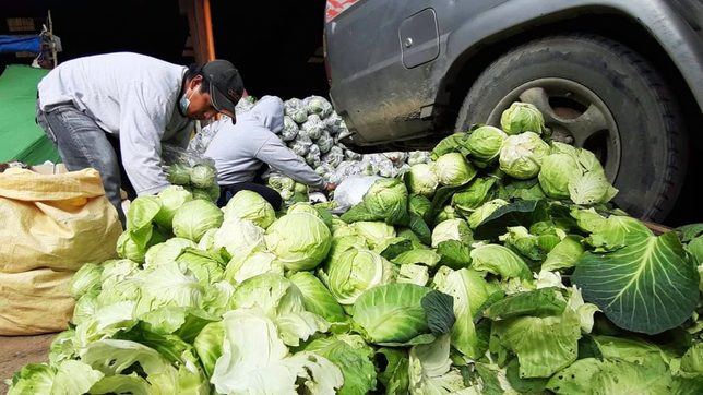DA looks into alleged influx of smuggled cabbage from China