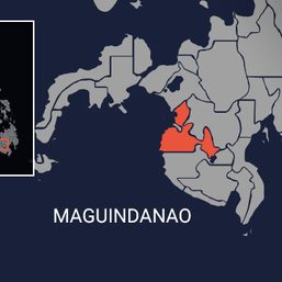 Military, police on high alert following death of Dawlah Islamiya leader in Maguindanao