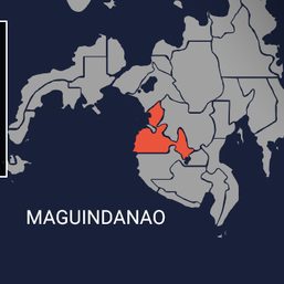 Army kills Daulah Islamiyah leader in Mindanao – AFP