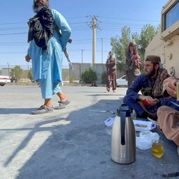 Half a million Afghans could flee across borders – UNHCR