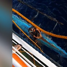 Fisherman rescued after clinging 15 hours to capsized boat