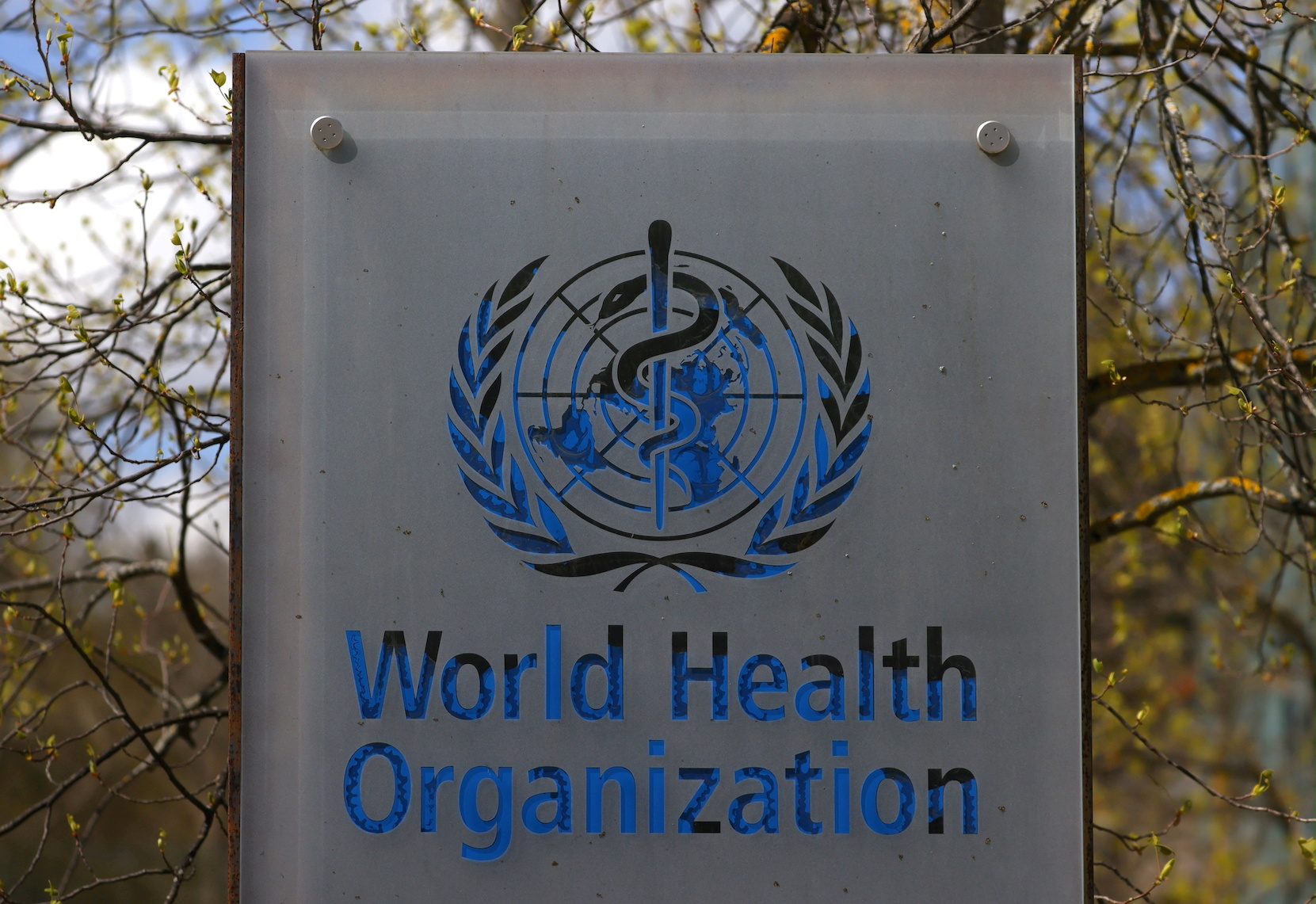 WHO calls emergency meeting as monkeypox cases cross 100 in Europe
