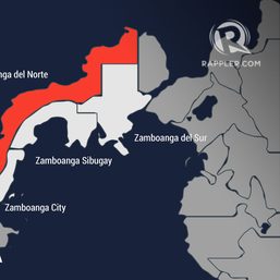Ahead of NPA anniversary, 8 communist rebels killed in Negros Oriental