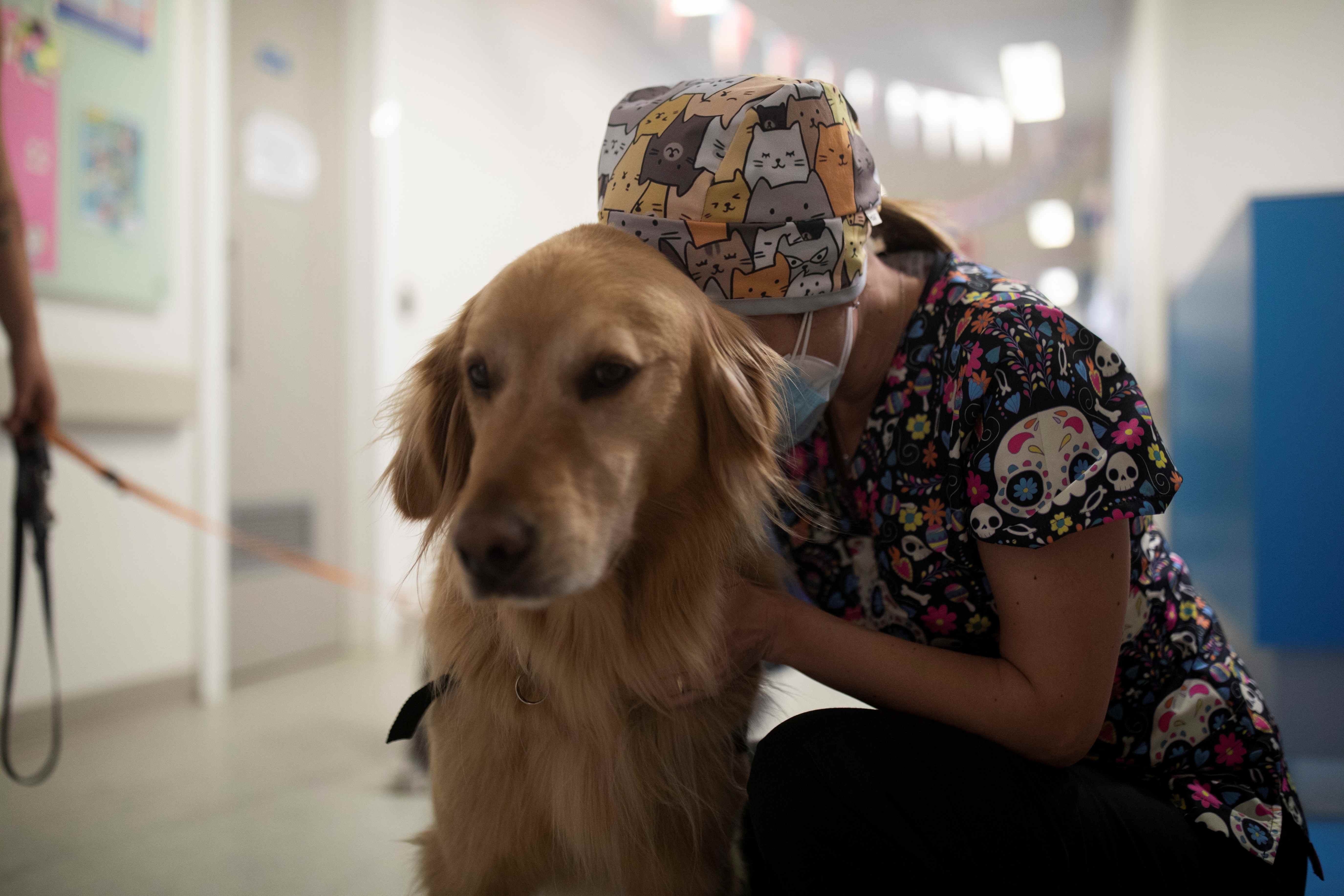 Chile ‘therapy’ dogs offer tummy rubs to soothe patients, medics