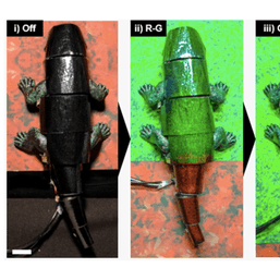 South Korean researchers create chameleon-like artificial ‘skin’