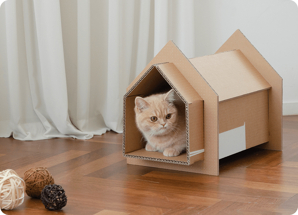 LOOK: How to turn those old cardboard boxes into a pet house