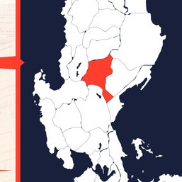 Red-tagged Anakpawis Partylist nominee arrested in Nueva Vizcaya