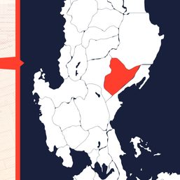 Delayed test results ‘aggravated’ COVID-19 fight in Quirino – governor