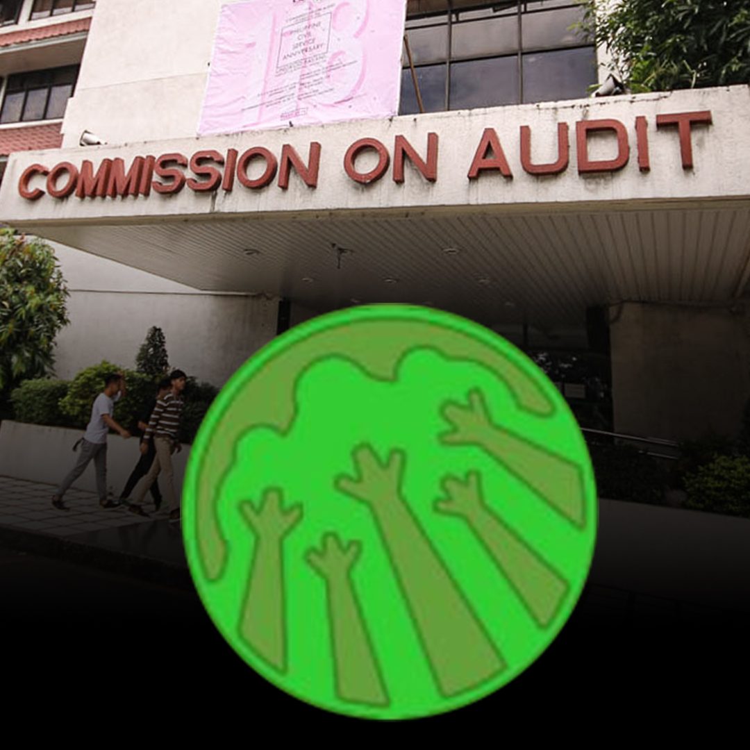 Ex-PhilForest execs liable for releasing P19M in disallowed PDAF, says COA