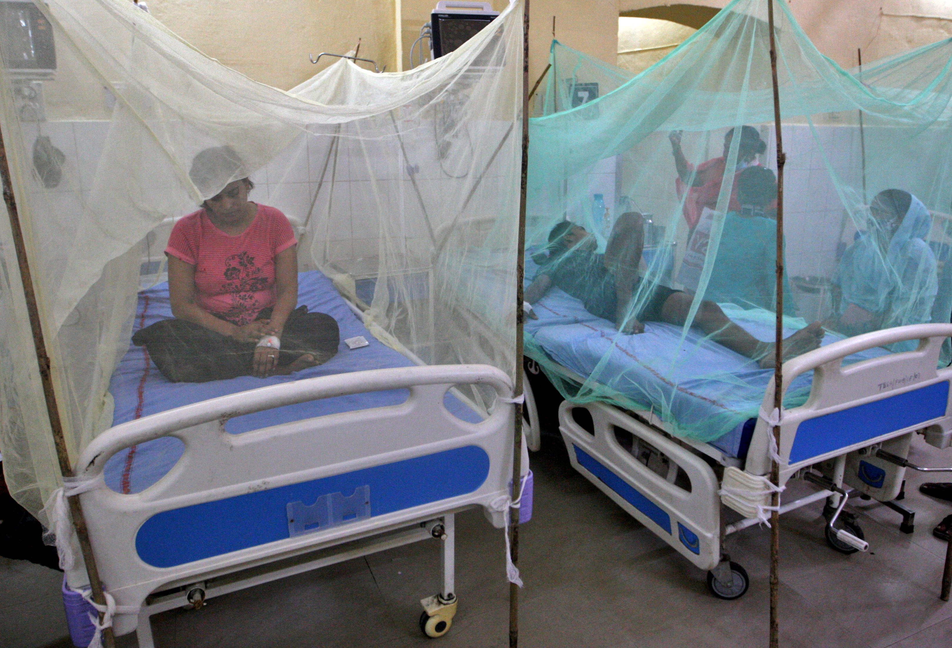Dengue suspected of killing dozens as Indian state suffers worst outbreak in years