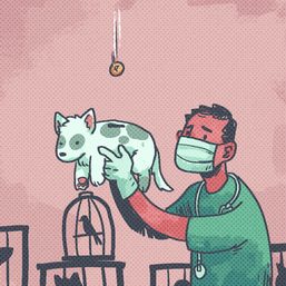 [OPINION] #Vetmedismed and why pandemic funding should go beyond health