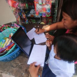 Mistakes were made: Errors in DepEd distance learning materials