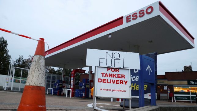Chaos in the UK: Fuel pumps dry, medicines disrupted, and pig cull fears