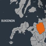 Armed group kidnaps engineer-businessman in Bukidnon
