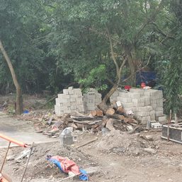 Concrete replaces trees in Arroceros Forest Park, advocates sound alarm