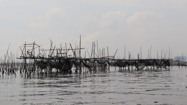 DENR bans transport of bamboo to Cavite for aquaculture purposes