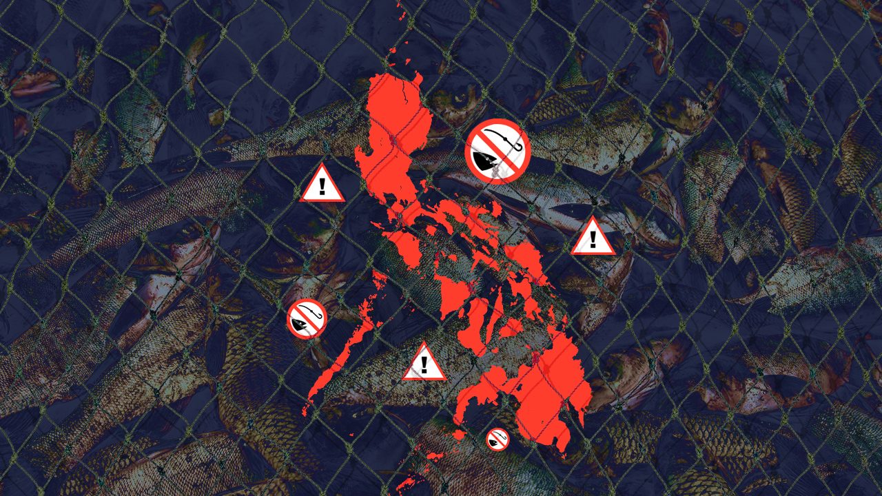 IN NUMBERS: Illegal, unreported, and unregulated fishing in the Philippines