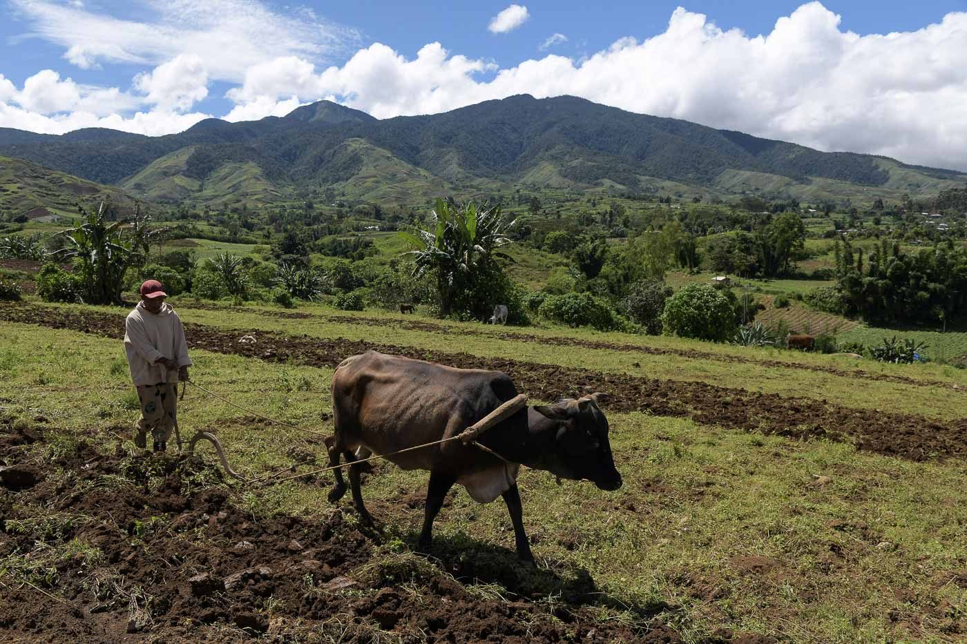 Northern Mindanao’s vegetable capital under threat