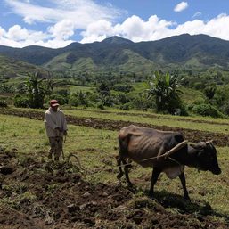 Northern Mindanao’s vegetable capital under threat