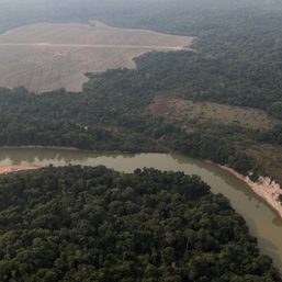 Indigenous leaders push new target to protect Amazon from deforestation