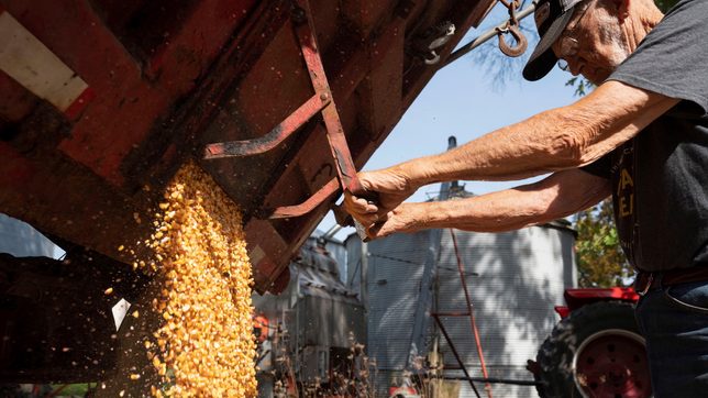 Big US, Brazil harvests and slowing China demand ease some crop shortage fears