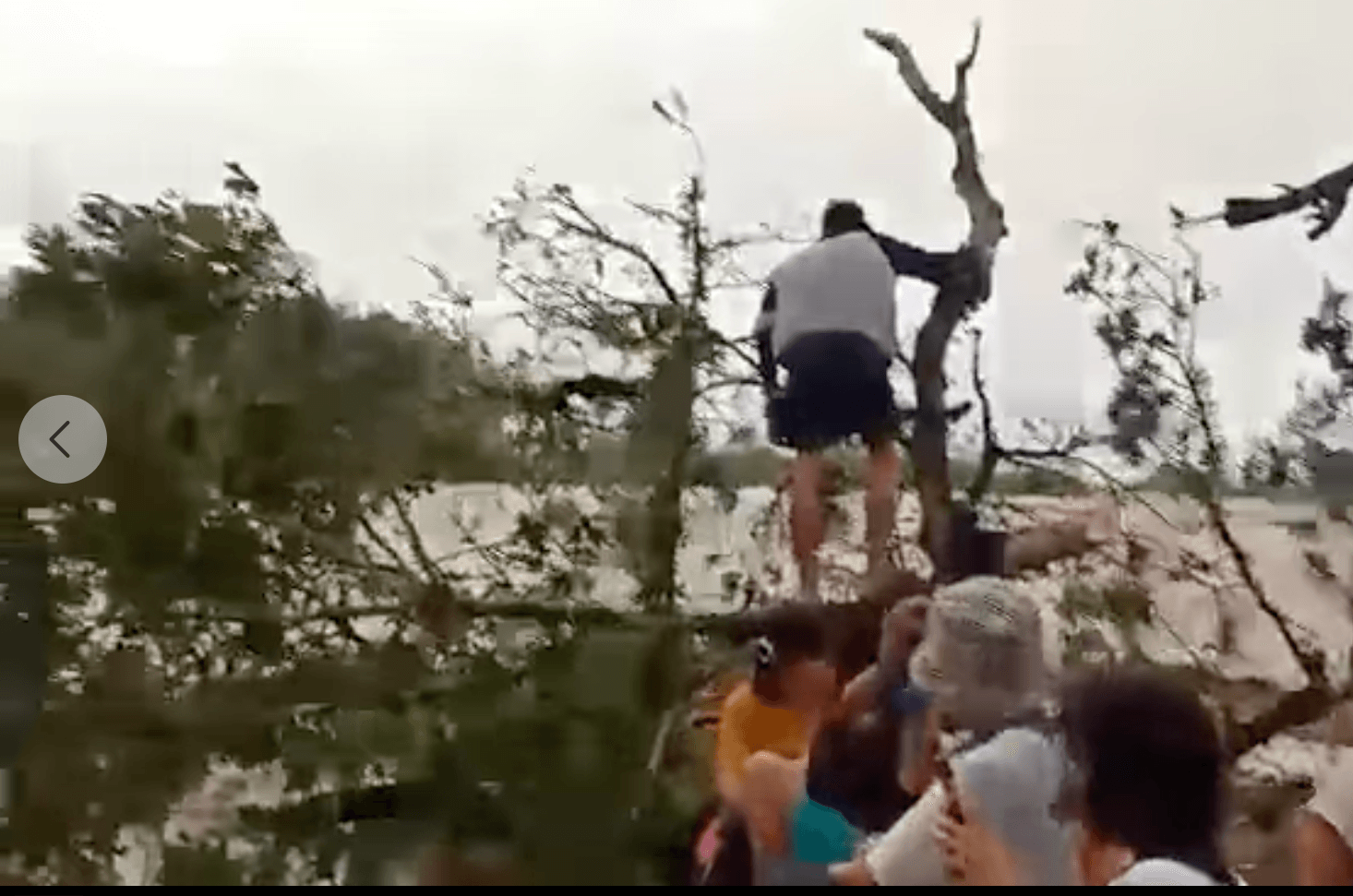 Children, cops cling to trees for hours as ‘Odette’ whips Kabankalan City