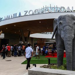Isko Moreno opens Manila Zoo as vaccination site for kids, elderly