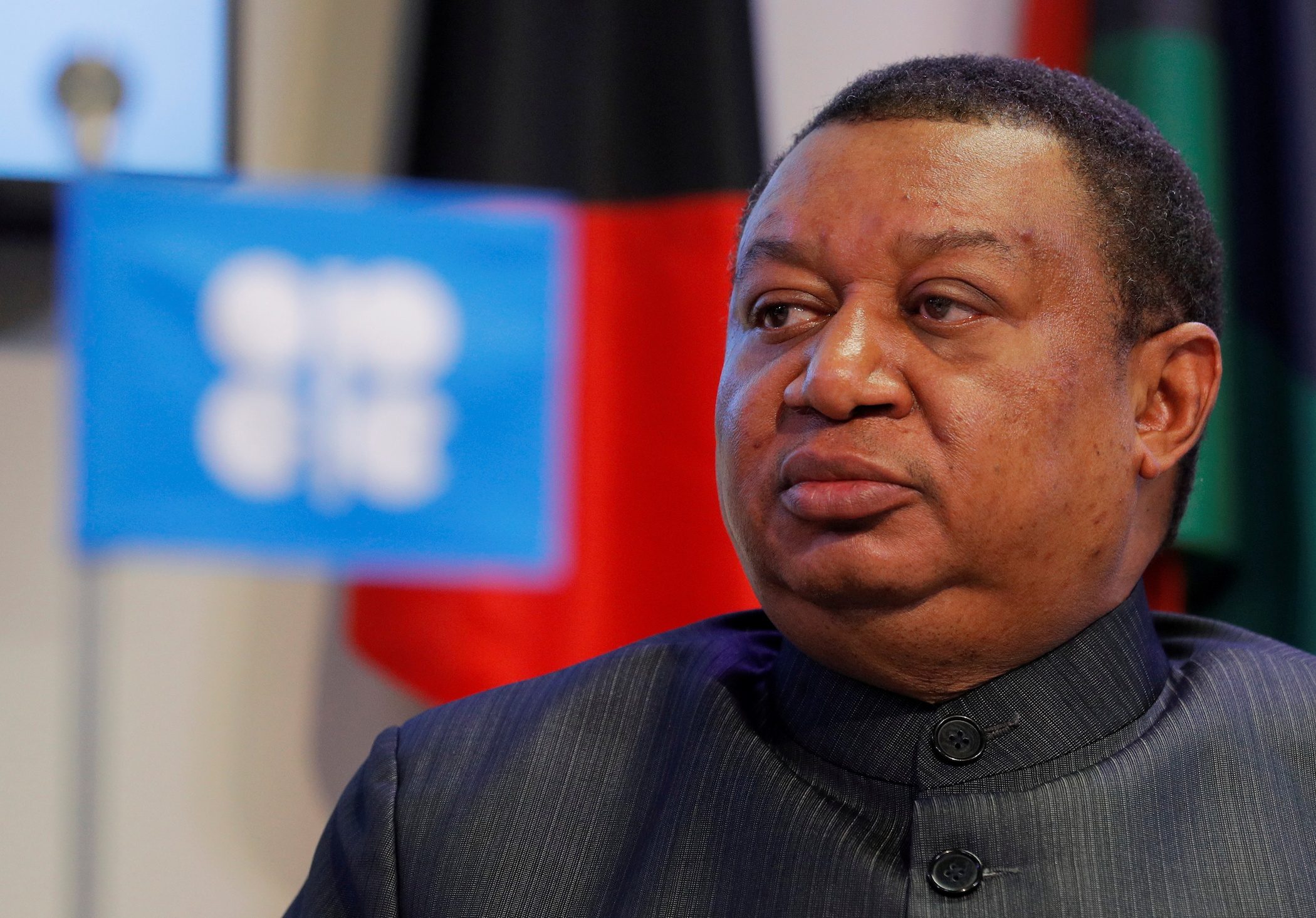 OPEC official hits at ‘misguided’ efforts to pare oil and gas