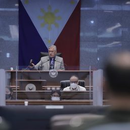 Senate censures PCOO official for drinking alcohol during budget debates