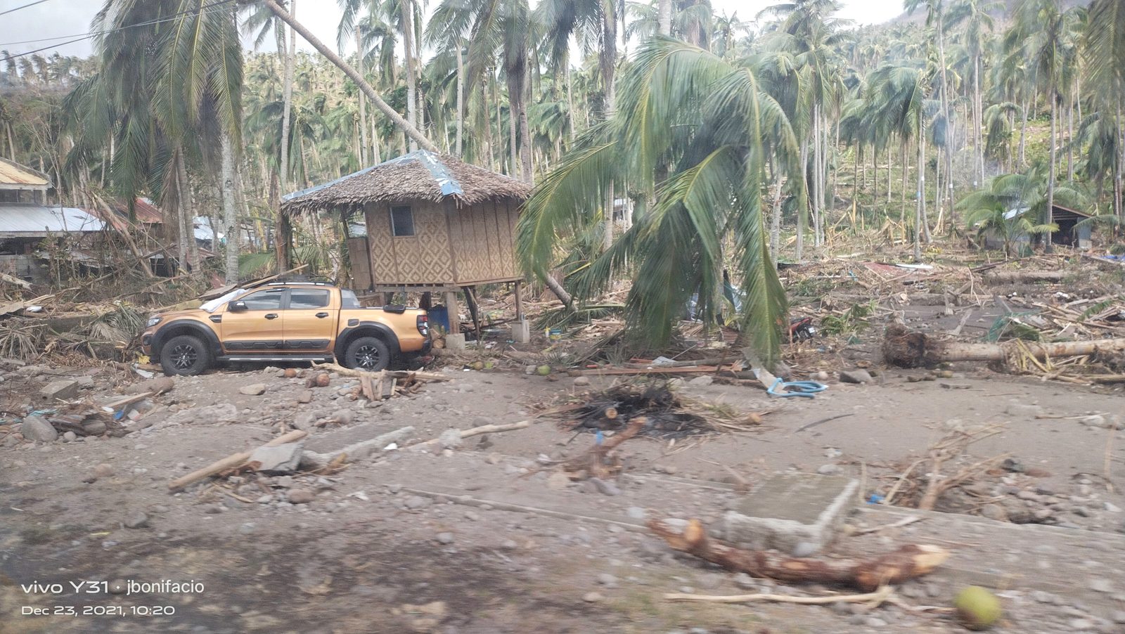 Odette damages 10 million coconut trees, gov’t eyes coco trust fund for rehab
