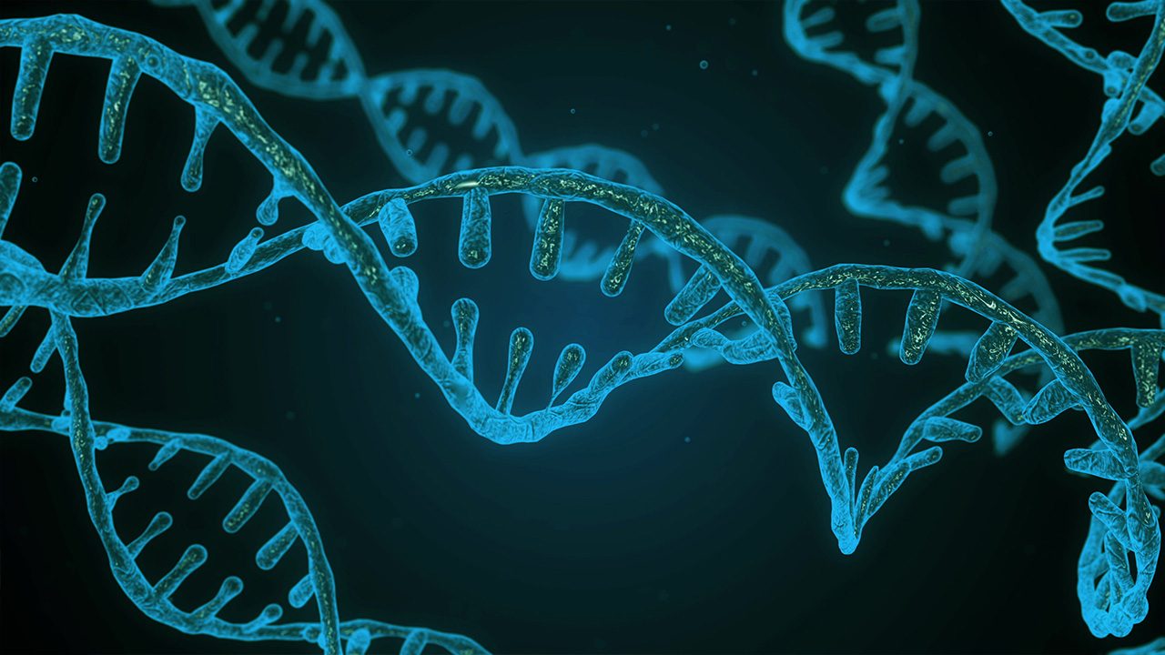 Scientists publish the first complete human genome