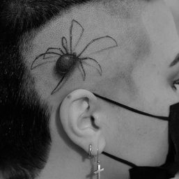 LOOK: Demi Lovato gets new spider tattoo on head