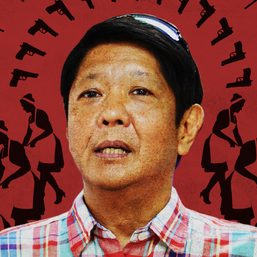 Marcos Jr.’s house, servants and guns in the US